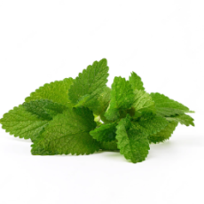 Frischer Minzstrauß 200gm